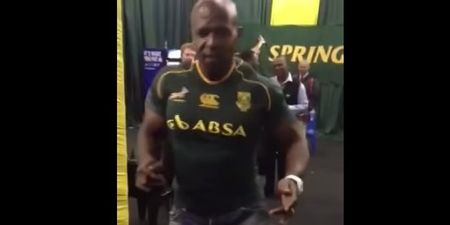 VIDEO: Terry Crews dancing like a robot in a Springbok jersey is simply phenomenal