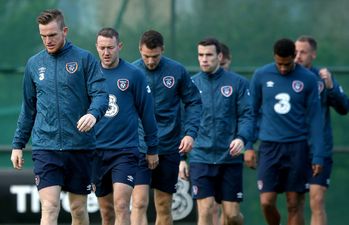 More injury woes for Ireland ahead of the Scotland clash