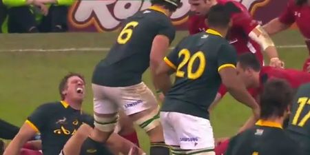 Warning: Jean de Villiers suffered a shocking knee injury against Wales