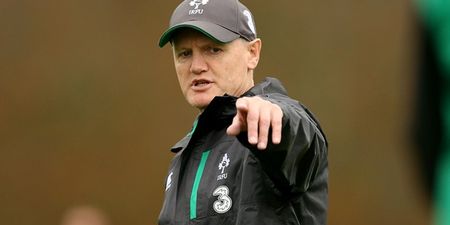 No room for optimism but Joe Schmidt confident new-look Ireland can test the Springboks