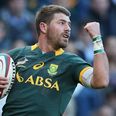 Rob Kearney and Ireland beware: South Africa’s ‘pest’ Willie le Roux needs controlling