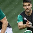 David Wallace: Ireland will pass Aussie test if they bring the fight