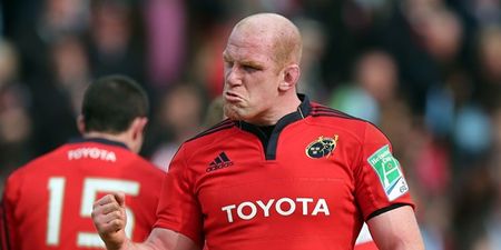 QUIZ: Paulie, ROG or BOD – What type of rugby player are you?