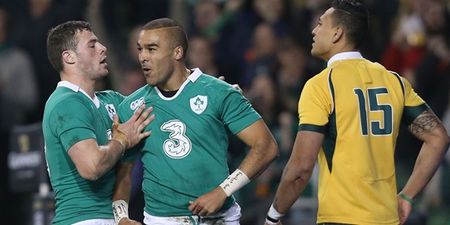 Simon Zebo convinced fullback experience can win him World Cup slot