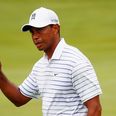 Tiger Woods hires biomechanics student to fix his swing