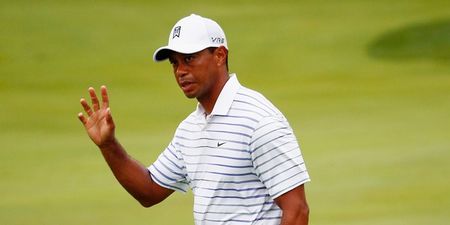 Tiger Woods hires biomechanics student to fix his swing