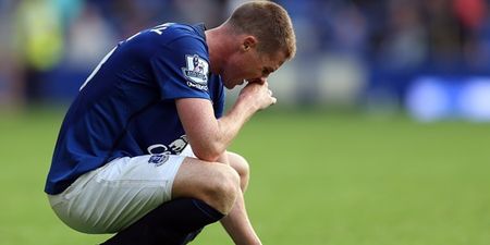 James McCarthy is the latest Irish victim to fall victim to Premier League injury