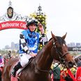 Protectionist victorious as fatalities overshadow Melbourne Cup