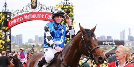 Protectionist victorious as fatalities overshadow Melbourne Cup