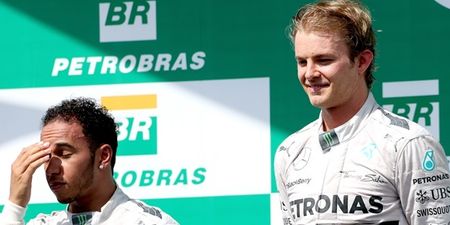 Nico Rosberg takes Brazilian win as Lewis Hamilton rues unfortunate spin