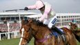 Ruby Walsh undecided over Hurricane Fly or Faugheen for Champion Hurdle. Not a bad problem to have
