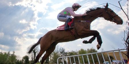 Ruby Walsh opts for Faugheen over Hurricane Fly for the Champion Hurdle