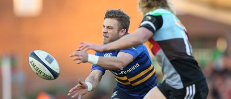 First blood to Harlequins as beauty and beast stun Leinster