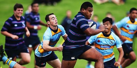 Video: Watch out world as ‘Tongan Thor’ sets sights on XXXL Wallabies jersey