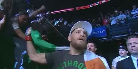 My favourite sporting event of 2014: UFC Dublin