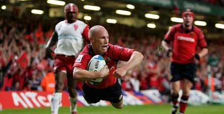 Happy Birthday Peter Stringer! Here’s five reasons we love you