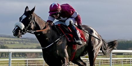 Don Cossack adds another Grade One success at Punchestown