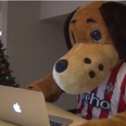 Video: Southampton mascot plays Cupid for love-struck fan