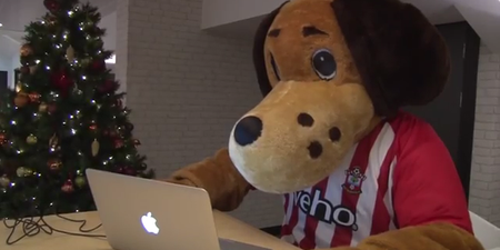 Video: Southampton mascot plays Cupid for love-struck fan