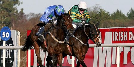 Hurricane Fly and Jezki set for Champion Hurdle rematch this Sunday at Leopardstown
