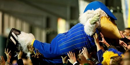 It’s party time at Wimbledon and the crowd-surfing Womble is leading the way