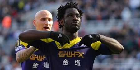 PIC: Man City confirm Bony signing, but only after Swansea get catty