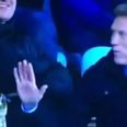 Vine: David Moyes receives red card, eats some crisps from fans in the stand