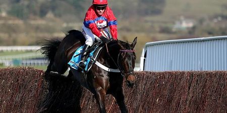 Sprinter Sacre beaten into second on return to action at Ascot