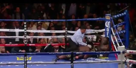 VINE: Bermane Stiverne used a rugby tackle to try and win a world boxing title