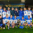 Twitter applauds Waterford footballers after 34-year wait for McGrath Cup success ends
