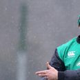 Opinion: Luke Fitzgerald’s Wolfhounds selection does not bode well for Simon Zebo