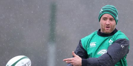 Opinion: Luke Fitzgerald’s Wolfhounds selection does not bode well for Simon Zebo