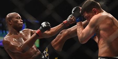 Anderson Silva makes successful comeback in UFC 183 decision victory over Nick Diaz