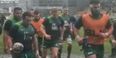 Pic: Connacht’s Pro12 game against Dragons could be a mudbath