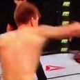 VINE: Underdog Matt Dwyer knocks out William Macario with perfect Superman punch