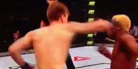 VINE: Underdog Matt Dwyer knocks out William Macario with perfect Superman punch
