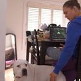Video: Ronda Rousey spanks her dog and plays World of Warcraft in UFC 184 Embedded