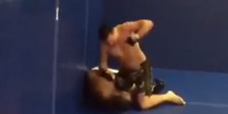 Video: UFC veteran Josh Neer sees red and viciously beats up internet troll