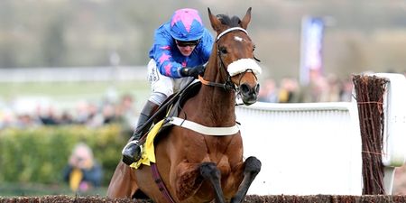 Cue Card has been pulled from the Cheltenham Festival