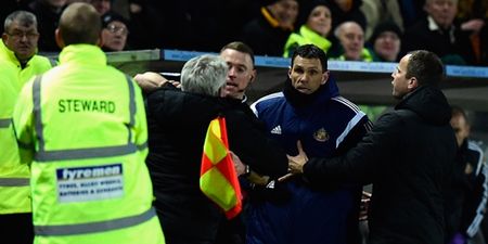 WATCH: Linesman has to restrain Steve Bruce as he tries to get at Gus Poyet after heated exchange