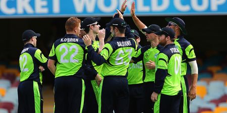 Twitter couldn’t hack the tension of Ireland’s dramatic win over Zimbabwe