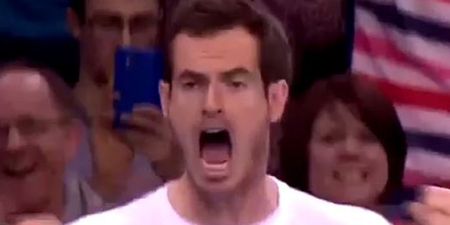 Vine: Andy Murray displays actual human emotions cheering on brother