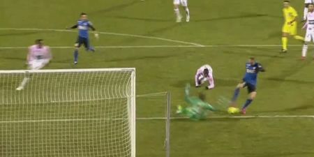 VIDEO: Dimitar Berbatov scored a beauty of a goal tonight for Monaco