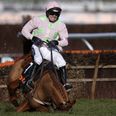 Vine: Here is the dramatic Annie Power fall that saved the bookies a sh*t ton of money