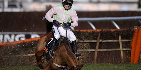 Vine: Here is the dramatic Annie Power fall that saved the bookies a sh*t ton of money