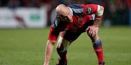 BJ Botha to remain with Munster for another six months after contract extension