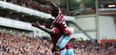 West Ham lose another striker to injury after bizarre tea cup accident