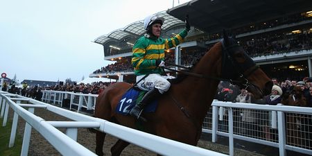 Pics: AP McCoy waves goodbye to Cheltenham for the final time before retirement