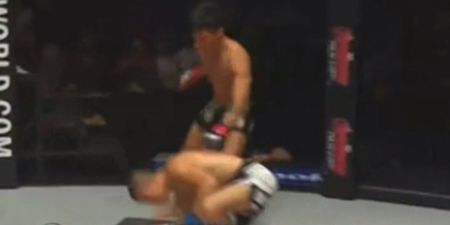 VINE: Gianni Subba finishes fight with brutal soccer kick knockout