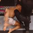 GIF: Sergio Pettis gets the Bishop Brennan treatment at UFC 185